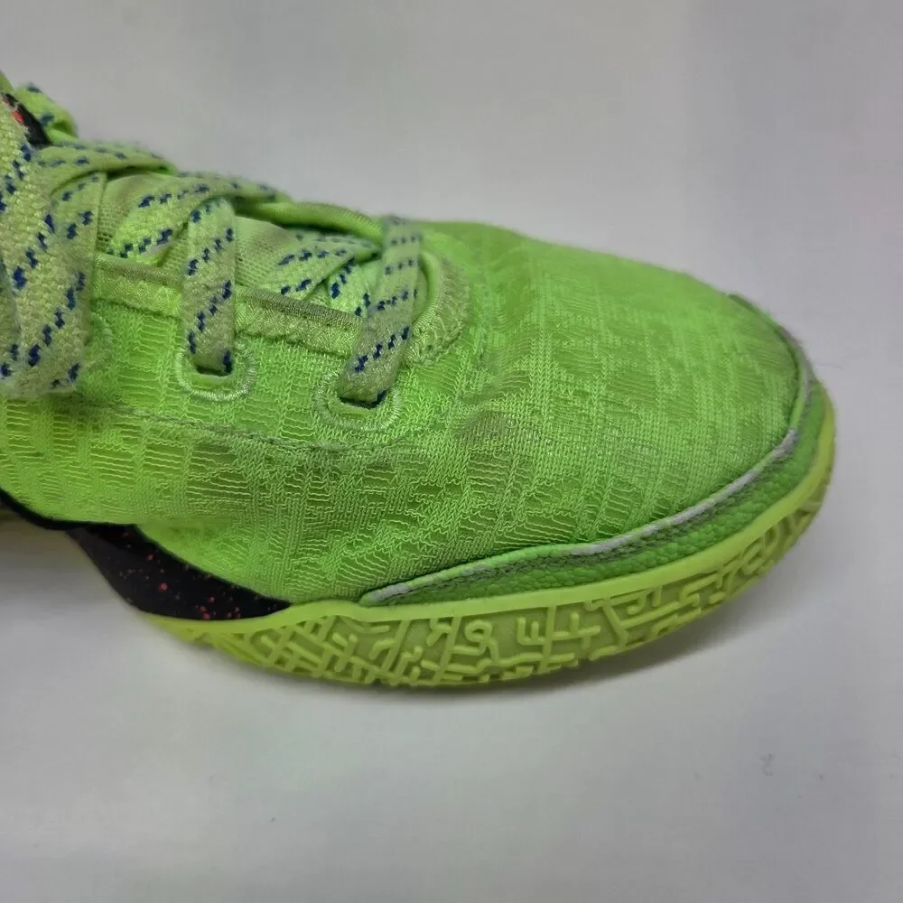 Nike zoom lebron